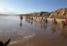 Rutas a caballo por la playa