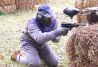 Paintball