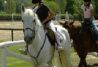 SegoviAventura Rutas a Caballo