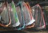 Big sails Windfornells