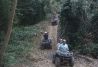 quads