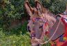 Burro enjaezado a la arriera.