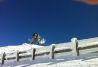Snowboard