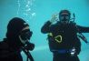 Ejercicios open water en piscina.