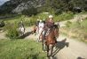 Paseos a caballo