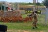 Disfruta del Airsoft