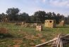 Campo 3 del paintball KanKakee