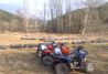 Quads