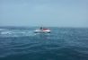 Motos de agua de alquiler en Marbella