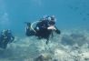 Buceo en espana