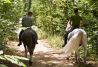 Paseos a caballo