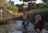 Paseos a caballo en El Rocio
