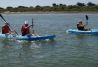 Kayak