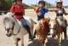 Paseos en pony