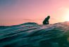 Cursos de surf