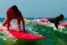 cursos de Surf