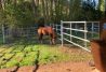 Rutas a caballo en Sigüenza