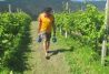 Herri Kirolak - deportes rurales