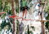 PARQUE DE AVENTURA