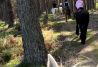 paseo a caballo por la sierra de guadarrama