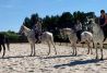 rutas a caballo