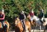 ACTIVIDADES