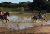 Montar a caballo en Doñana