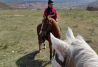 Rutas a caballo en Sigüenza