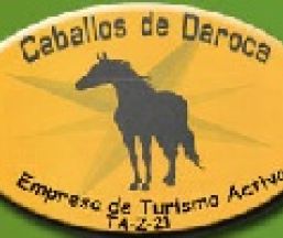 Empresa Caballos de Daroca