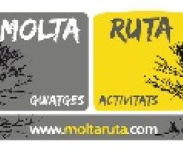 Empresa Molta Ruta