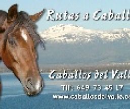 Empresa Caballos del Valle