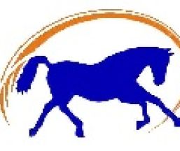 Empresa Centro de Equitación El Regatón
