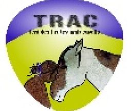 Empresa TRAC (teràpies i rutes amb cavalls)