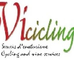 Empresa Vicicling.com