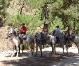 Empresa Rutas a Caballo Palmali