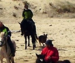 Empresa O Bosque da Estrela. Rutas a Caballo