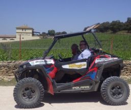 Empresa TopBuggy.es