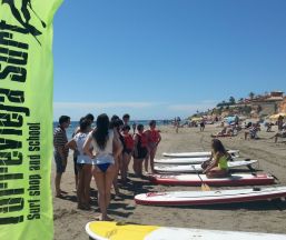 Empresa TORREVIEJA SURF CLUB DEPORTIVO