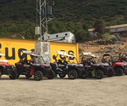 Empresa TopBuggy.es
