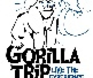 Empresa Gorilla Trip