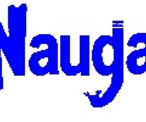 Empresa Nauga