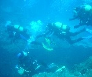 Empresa Aquatics Diving School