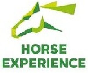 Empresa Horse Experience