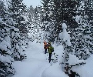 Empresa Guies del Pirineu