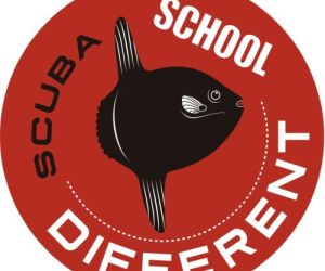 Empresa  Different Scuba School