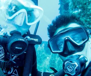 Empresa SeaSlug Diving