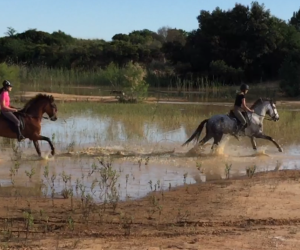 Empresa Doñana Horse Adventure