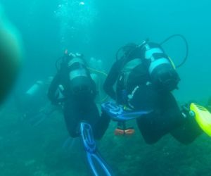 Empresa Scuba Deep Dive